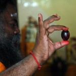 Lingodbhava-20081-150x150